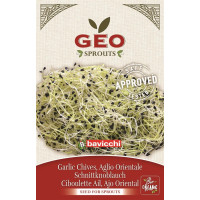 Czosnek - nasiona na kiełki GEO, certyfikowane, 6g, Bavicchi