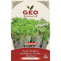 Bazylia - nasiona na kiełki GEO, certyfikowane, 15g, Bavicchi