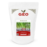 Jęczmień - nasiona na kiełki GEO, certyfikowane, DUŻE OPAKOWANIE, 600g, Bavicchi (ZCR0209)