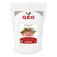 Rzodkiewka różowa - nasiona na kiełki GEO, certyfikowane, DUŻE OPAKOWANIE, 500g, Bavicchi (VRV1409)