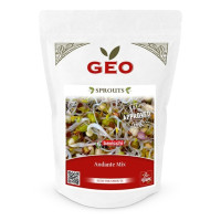 Andante - mix nasion na kiełki GEO, certyfikowane, 400g, Bavicchi