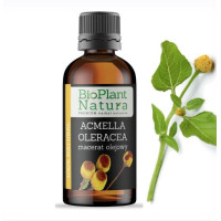 Macerat olejowy, ACMELLA OLERACEA, surowiec kosmetyczny, 30 ml, BioPlant Natura